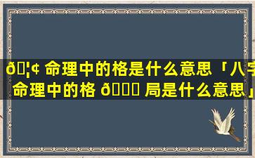 🦢 命理中的格是什么意思「八字命理中的格 💐 局是什么意思」